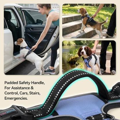PHOEPET No Pull Dog Harness Reflective Adjustable with 2 Metal Leash Hooks - Image 5