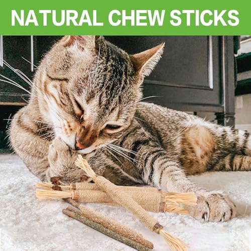 FOIMAS Silvervine Sticks Cat Toys,10pcs Cat Chew Stick Catnip Chew Toy Interactive Cat Toy for Cat Kitten Teeth Cleaning Treat Toys Indoor Outdoor - Image 2