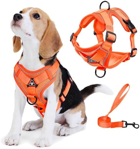 Dog Harness Small Sized Dog Pet Vest with Leash Set Orange M by Unknown