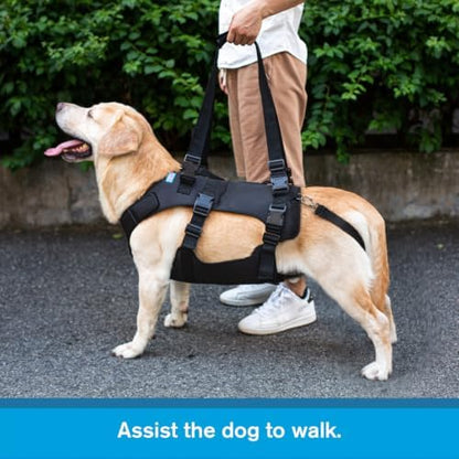 Dog Lift Harness, Rehabilitation Lifts Vest for Dogs, Support & Recovery Sling, Adjustable Breathable Lifting Straps for Old, Joint Injuries, Arthritis, Paralysis Dogs Walk (L, Black) - Image 3