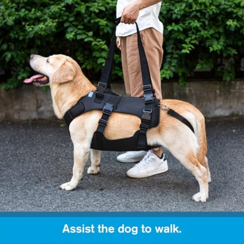 Dog Lift Harness, Rehabilitation Lifts Vest for Dogs, Support & Recovery Sling, Adjustable Breathable Lifting Straps for Old, Joint Injuries, Arthritis, Paralysis Dogs Walk (2XL, Black) - Image 3