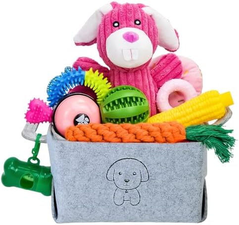 MRSOHRET 20Pcs Puppy Chew Toys for Teething, Dog Chew Rope Toys, Pet Dog Toothbrush, Treat Balls, Plush Squeaky Toy for Small Medium Dogs with Basket by MRSOHRET