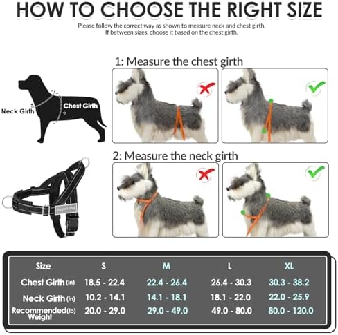SlowTon No Pull Dog Harness and Leash Set - Heavy Duty, Soft Padded - Image 6