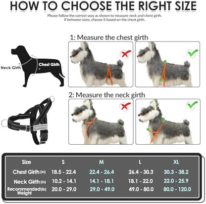 SlowTon No Pull Dog Harness and Leash Set - Heavy Duty, Soft Padded - Image 6