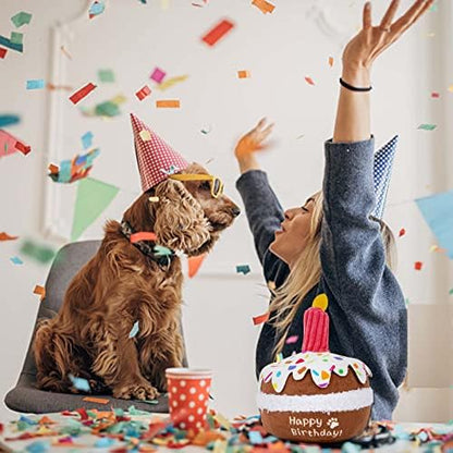 lilfrd Dog Birthday Toy, Birthday Cake Toys for Puppy Gifts, Squeaky Plush Dog Toys - Image 5