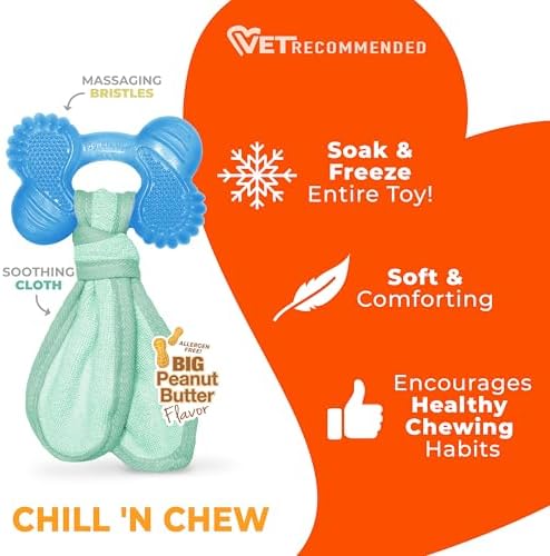 Nylabone Puppy Chew 2-in-1 Teething Freezer Bone Dog Chew Toy, Small - Image 4