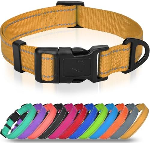 Joytale Feather-Light Dog Collar for Extra Large Dogs, 1 1/4", Khaki by Joytale