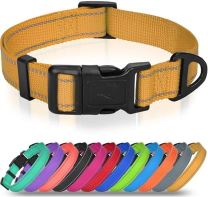 Joytale Feather-Light Dog Collar for Medium & Large Dogs, 1", Khaki by Joytale