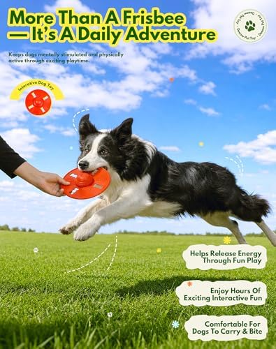 Deeow Squeaky Dog Frisbee/Flying Disc/Flyer-Natural Rubber 6.5'' Spaceship - Image 3