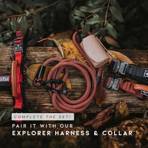 MADE TO ROAM Premium Explorer Leash - Climbing Rope Leash with Autolocking Aviation Aluminum Carabiner - Alaska Daybreak, 6ft - Image 5
