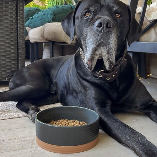 Mora Ceramic Pet Bowl - Large Food/Water Dish for Large Dogs, Cats, Great Dane, Mastiff - 50oz or 8 Cups - Basic Bowls - Charcoal - Image 6