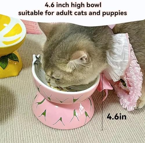 2PCS Ceramic Elevated Cat Bowls Raised Cat Food and Water Bowl Dishes Set - Image 6