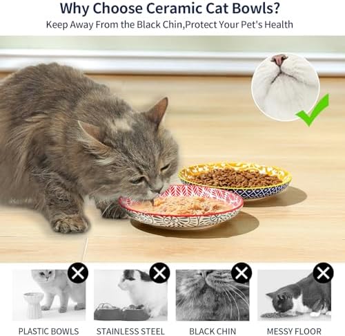 Selamica 6 Inch Ceramic Cat Bowls, Set of 6, Assorted Colors - Image 4
