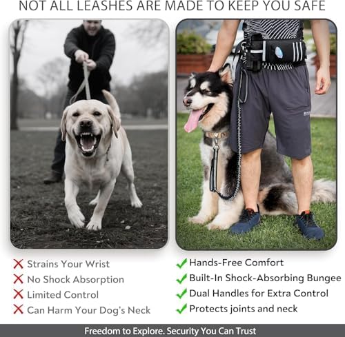 Hands Free Dog Leash with Waist Belt for Running & Walking Bungee Shock Absorber, Auto-Lock Carabiner, Reflective | Fits All Dog Sizes - Image 6