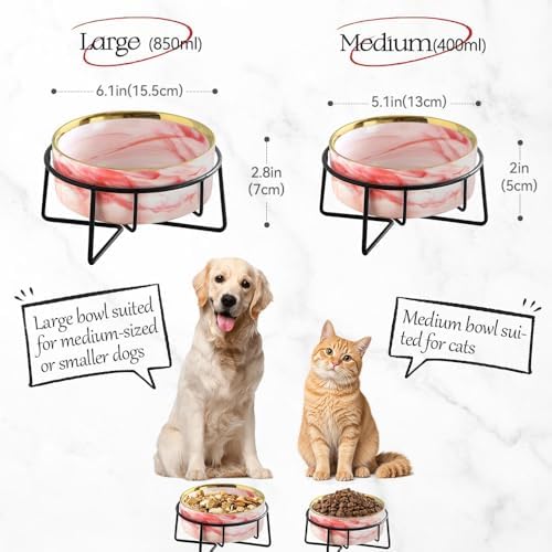 Dazzling Ceramic Elevated Cat Bowls, Gift for Cat Owner, Birthday (Medium,Grey) - Image 6