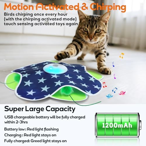 Oxawo Interactive Cat Toys for Indoor Cats Kittens Mat Toy - Image 5