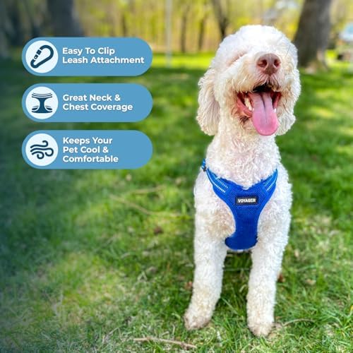 Best Pet Supplies Voyager Adjustable Step-in Flex Breathable Mesh Dog Harness for Small Medium Large Dogs Leash Set (Royal Blue), S - Image 5