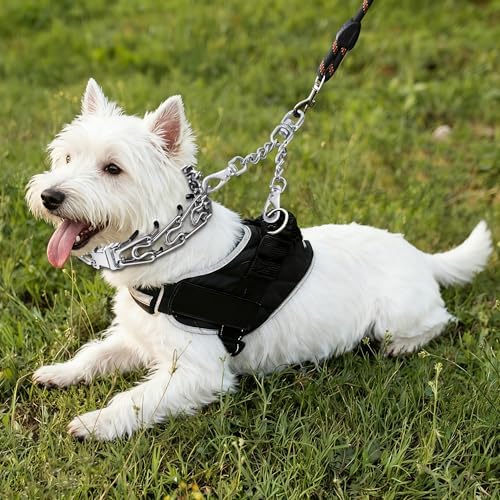 DEYACE Leash Backup with Dual Clasps Safety Clip and Harness Connectors - Image 7