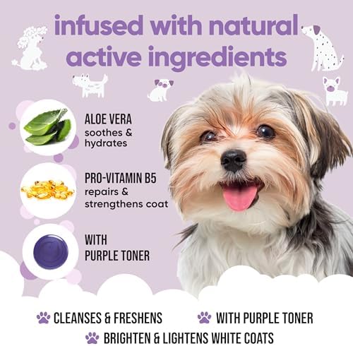 White Dog Shampoo by Buddycare | Brightening and Whitening Shampoo for Dogs | Deep Cleansing, Fresh Scented | with Aloe Vera and Pro Vitamin B5 (50.72oz) - Image 3