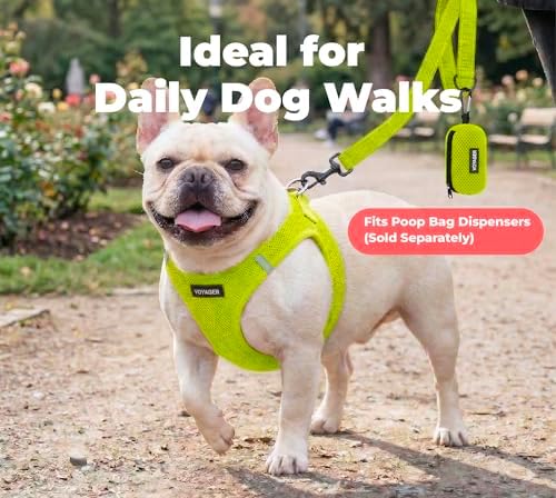 Best Pet Supplies Voyager Nylon Dog Leash - Lime Green, Small - Image 3