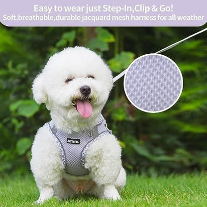 AIITLE Escape-Proof Dog Harnesss and Leash Set, Step in Pet Vest, Purple L - Image 5