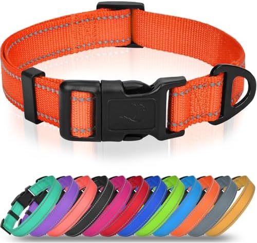 Joytale Feather-Light Dog Collar for Medium & Large Dogs, 1", Orange by Joytale