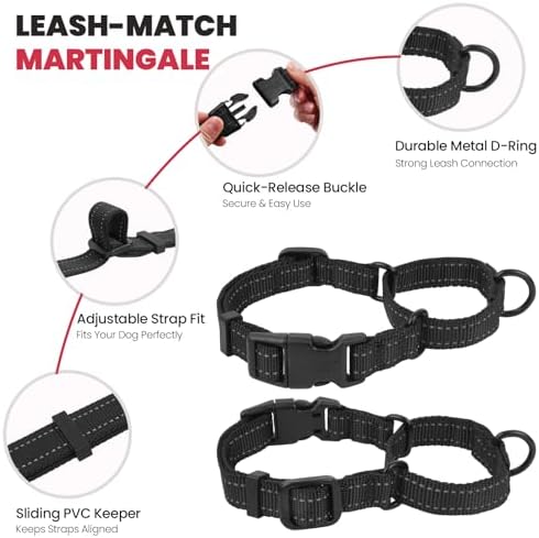 VIVAGLORY Double Handle Dog Leash Twingrip, 5ft x 1in, S, Black - Image 4