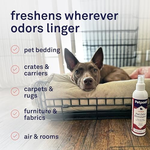 Petpost | Pet Odor Eliminator Spray for Dogs & Cats - Naturally Effective Deodorant and Bad Smell Killer - For Spraying Your Pet or Around the Home 8 oz. - Image 2