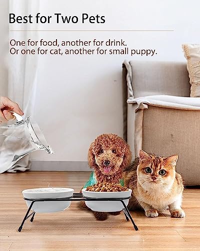 COMESOON 5" Ceramic Cat Bowl with Fish Bone Pattern, Cat Food Bowl for Food and Water, Healthy Cat Dishes for Indoor Cats and Small Dog, Dishwasher Safe & Microwaveable - White - Image 6