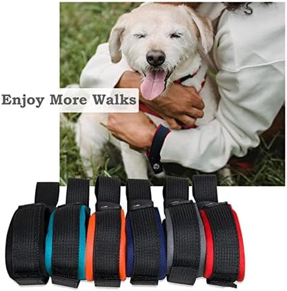 2 Pack Dog Leash Wrist Safety Strap, Dog Leash Wrist Strap for Hands Free, Soft Comfortable Diving Fabric, Light Blue Color