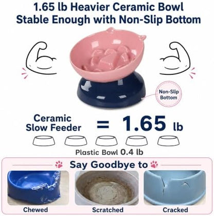 Ceramic Slow Feeder Cat Bowl, 15-Degree Tilted Non-Slip - Image 5