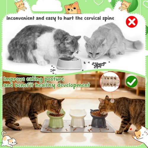 3 Pcs Elevated Cat Bowls 15°Raised Cat Food Bowl with Silicone Mat 3 Colors - Image 2