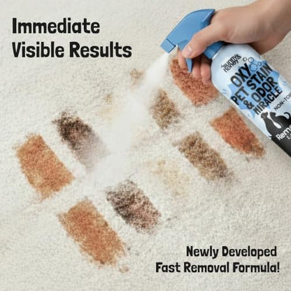 Sunny & Honey Oxy Stain Remover Cleaner Spray, Unscented (32 fl oz) - Image 3