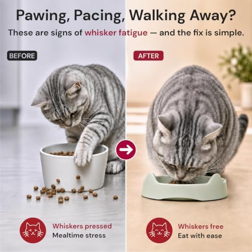 7 Ruby Road Shallow Cat & Kitten Food Bowls, Whisker Friendly, Set of 2 - Image 6