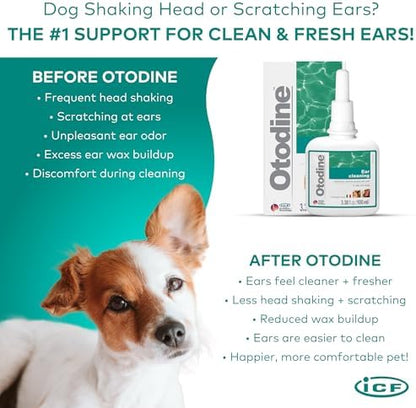 ICF Otodine Dog Ear Cleaner Solution Drops for Itchy Ears, Infections, Head Shaking, Scratching, Wax, Debris & Odor - Tris-EDTA Flush - Gentle & Safe for Cats & Puppies - 100ml - Image 4