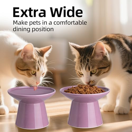 Ceramic Elevated Cat Food Bowls,6.2" Wide,1-Pack,Dark Purple - Image 3