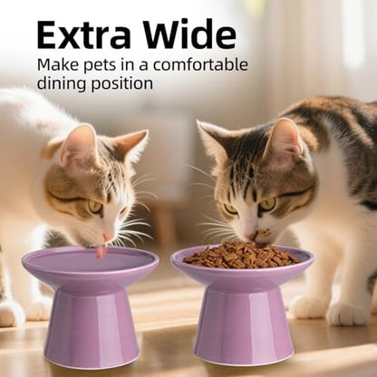 Ceramic Elevated Cat Food Bowls,6.2" Wide,1-Pack,Dark Purple - Image 3