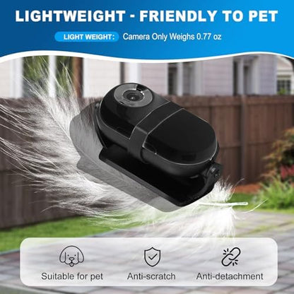 1080P Cat Camera Collar - Wireless Mini Sport Cam with Video Recording, Small Action Camera for Pet Supplies, Indoor/Outdoor Body Cam for Cats（Black Standard） - Image 5