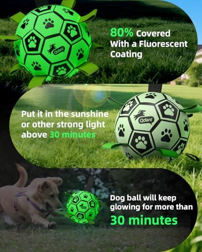 QDAN Glow in The Dark Dog Balls, Soccer Balls for Dogs with Straps, 8 Inch - Image 7