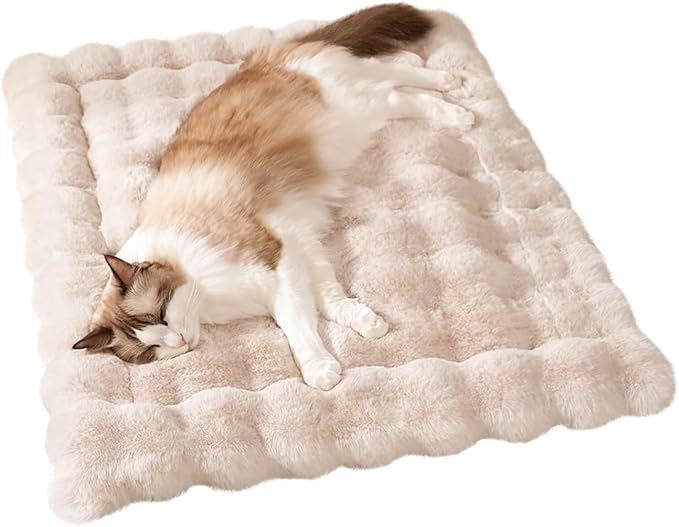 Cat Bed Mat, Soft Plush Faux Fur Kneading Pet Bed, Machine Washable Cat Sleeping Pad for Indoor Cats & Kittens, Non-Slip Fluffy Cat Rug for Couch Sofa Floor, 23x15 Inch White