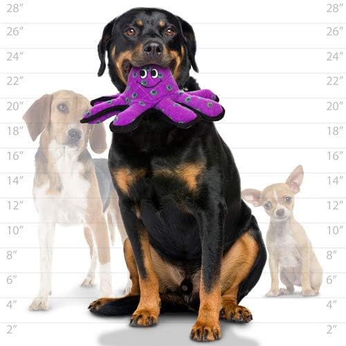 TUFFY - World's Tuffest Soft Dog Toy - Ocean- Squeakers - Multiple Layers. Made Durable, Strong & Tough. Interactive Play (Tug, Toss & Fetch). Machine Washable & Floats. (Octopus, Small 2 Pack)