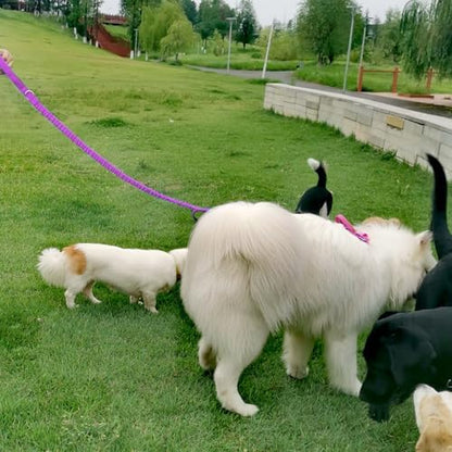5FT Bungee Dog Leash with 2 Handles, Reflective Nylon Traffic Leash - Image 7
