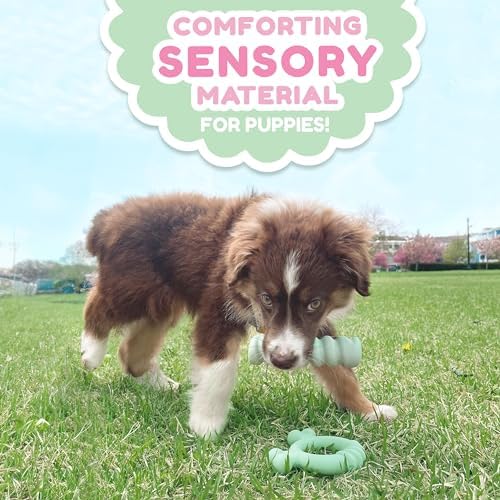 Nylabone Puppy Chew Sensory Material Grooved Stick Dog Chew Toy, Small - Image 6