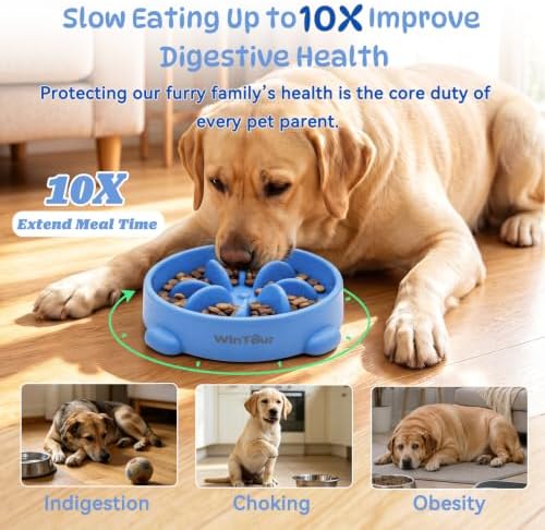 WinTour Slow Feeder Dog Bowls for Small Medium Pets, Round PP Dish, 1 Pack - Image 2
