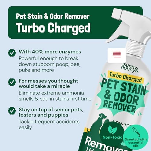 Sunny & Honey Turbo Pet Stain and Odor Remover for Carpets, 32fl oz Mint - Image 2