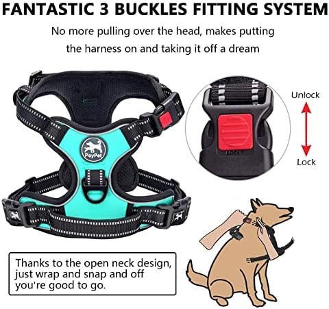 PoyPet No Pull Dog Harness Medium with Front Clip & Neck Release Buckle - Image 4