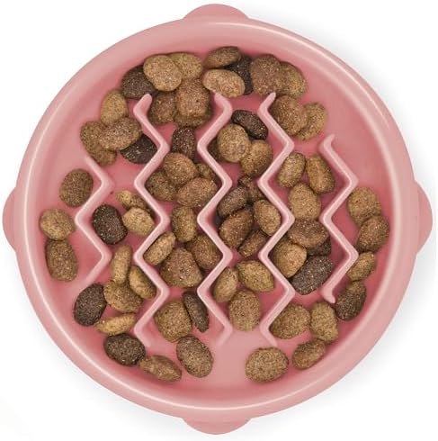 Outward Hound Fun Feeder Slo Bowl Dog Slow Feeder, Wave, Pink, 5.8" by OutwardHound