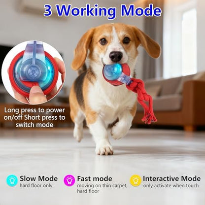 Oxawo Interactive Dog Toys Pet Busy Balls Moving Wiggles Ball - Image 4