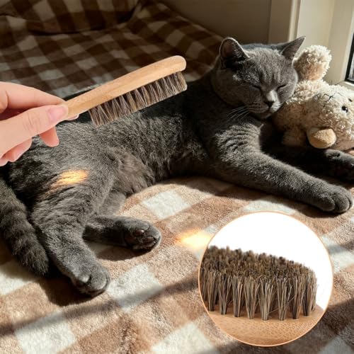 Soft Bristle Dog Cat Brush for Shedding, Boar Bristle Pet Grooming Brush with Wood Handle Gentle Massage Tool for Short Long Haired Dogs Cats Kittens Grooming Supplies - Image 5
