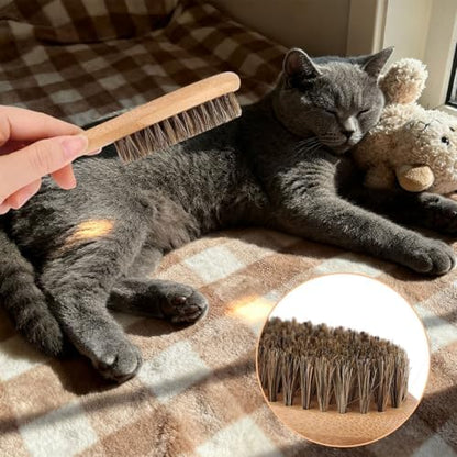 Soft Bristle Dog Cat Brush for Shedding, Boar Bristle Pet Grooming Brush with Wood Handle Gentle Massage Tool for Short Long Haired Dogs Cats Kittens Grooming Supplies - Image 5